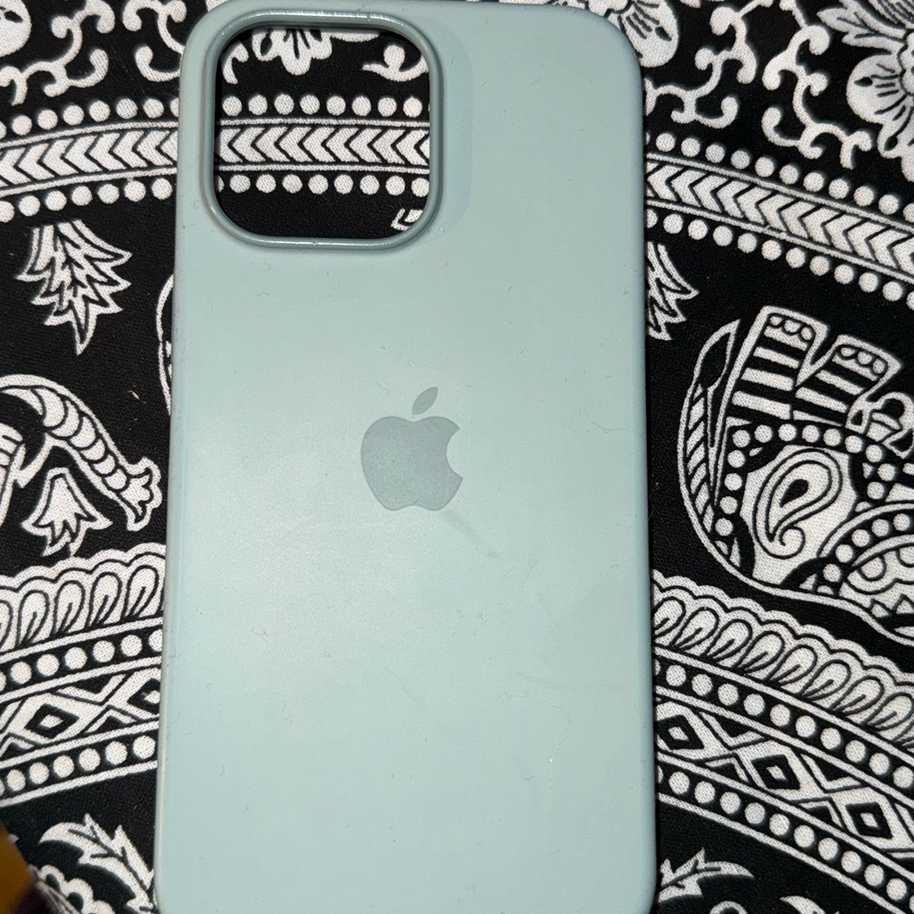 Apple Seafoam Iphone Case